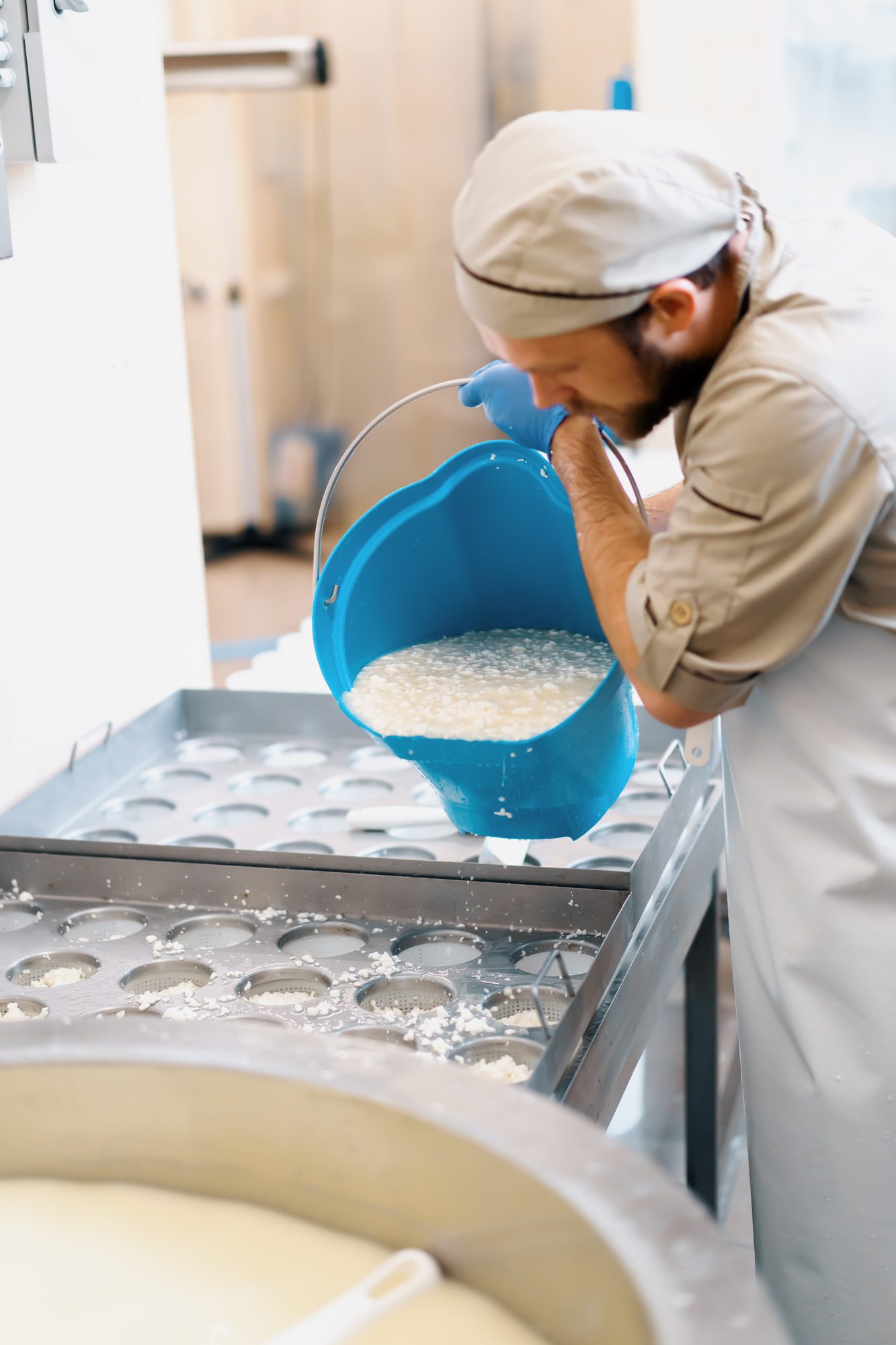 cheese maker pours fresh cheese into molds for making brie cheese craft cheese production